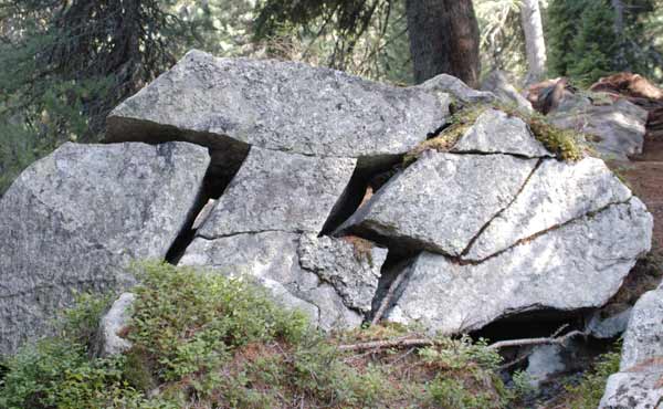 Felsblock im Engadin (Foto: Georg Pfister)